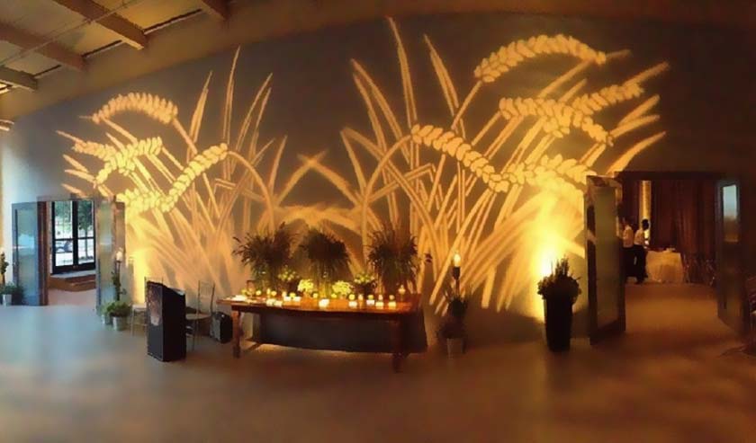 农业展厅中的麦子投影效果展示