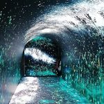 利用数字多媒体技术搭建时光隧道